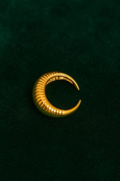 Aurelia Bold Dome Kada Ring - Image 3